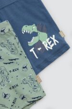 Pack 2 bóxers infantiles algodón estampados Roar - Imagen 2