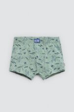 Pack 2 bóxers infantiles algodón estampados Roar - Imagen 3