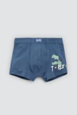 Pack 2 bóxers infantiles algodón estampados Roar - Imagen 4