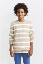Jersey de punto con diseño a rayas horizontales en tonos leña y crudo