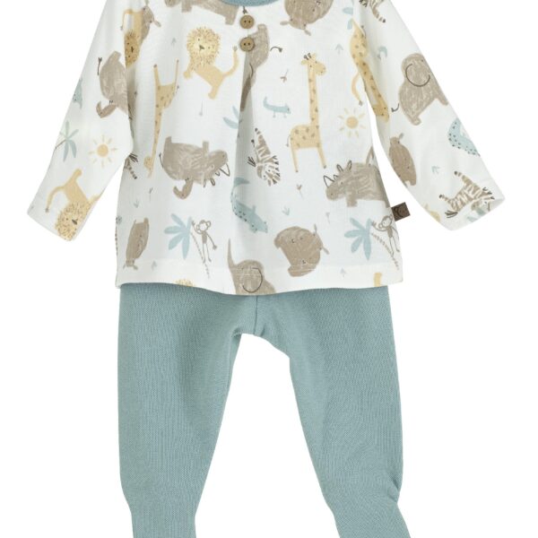 V5 Conjunto Polaina Java